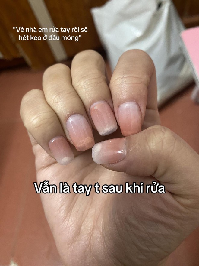 d4cc5079037ed15b70b0.jpg