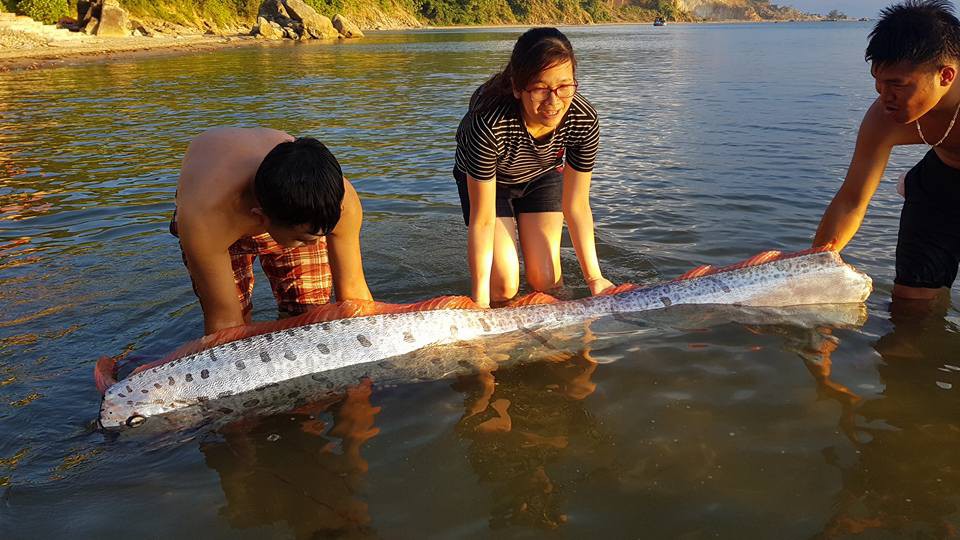 d4ee5032d5522df9aa43.jpg