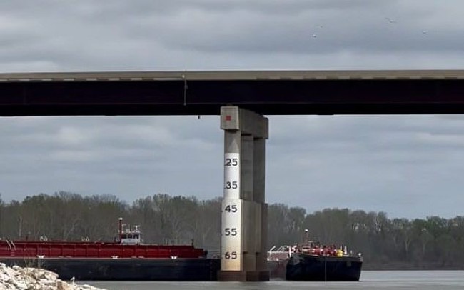 d4f40bc1161f07230278.jpg