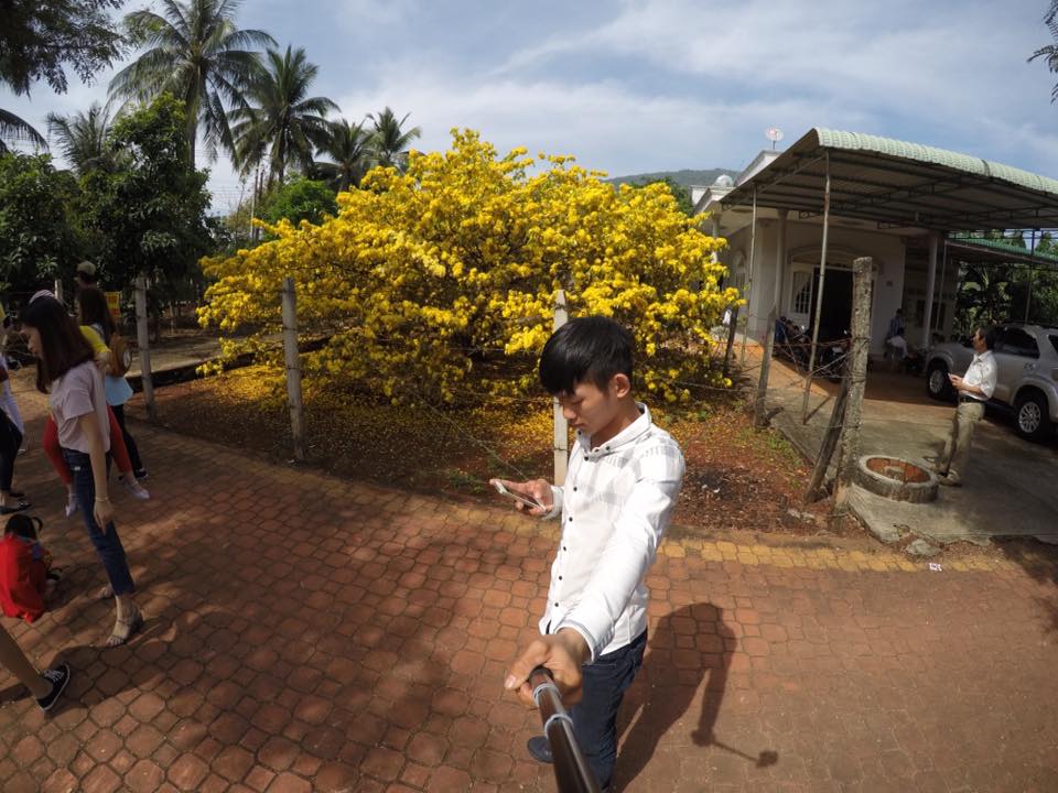 d50ab092cde8d205a239.jpg