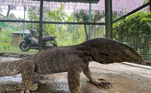 d50bf862d51f461a27d7.jpg