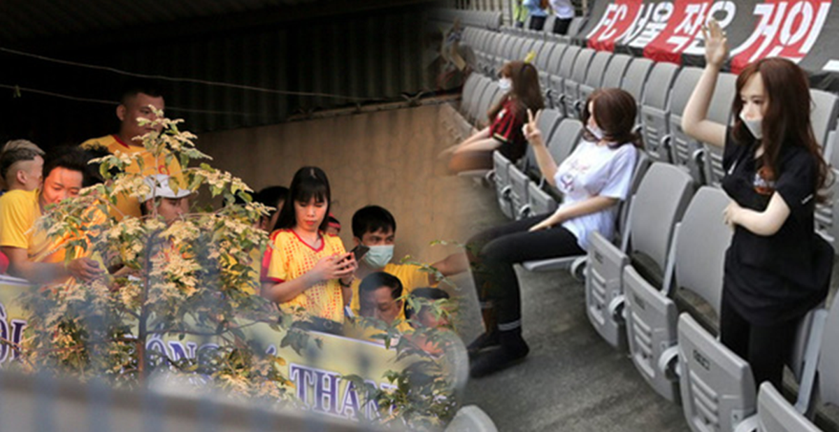d50e204f81de26737f02.png