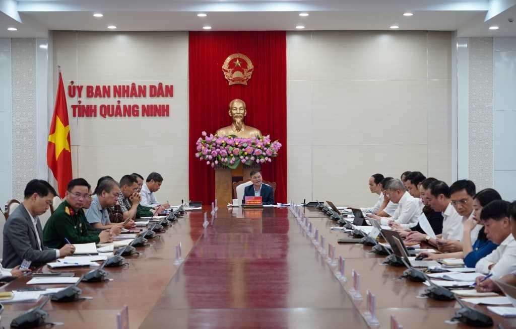 d51ef2acf3fd2a26b9ca.jpg
