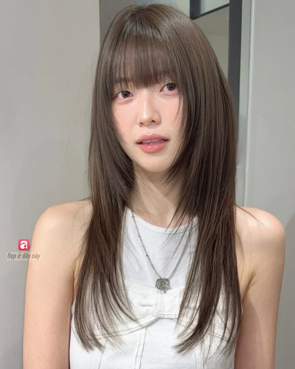 d5267cc315c3e32ad28a.jpg