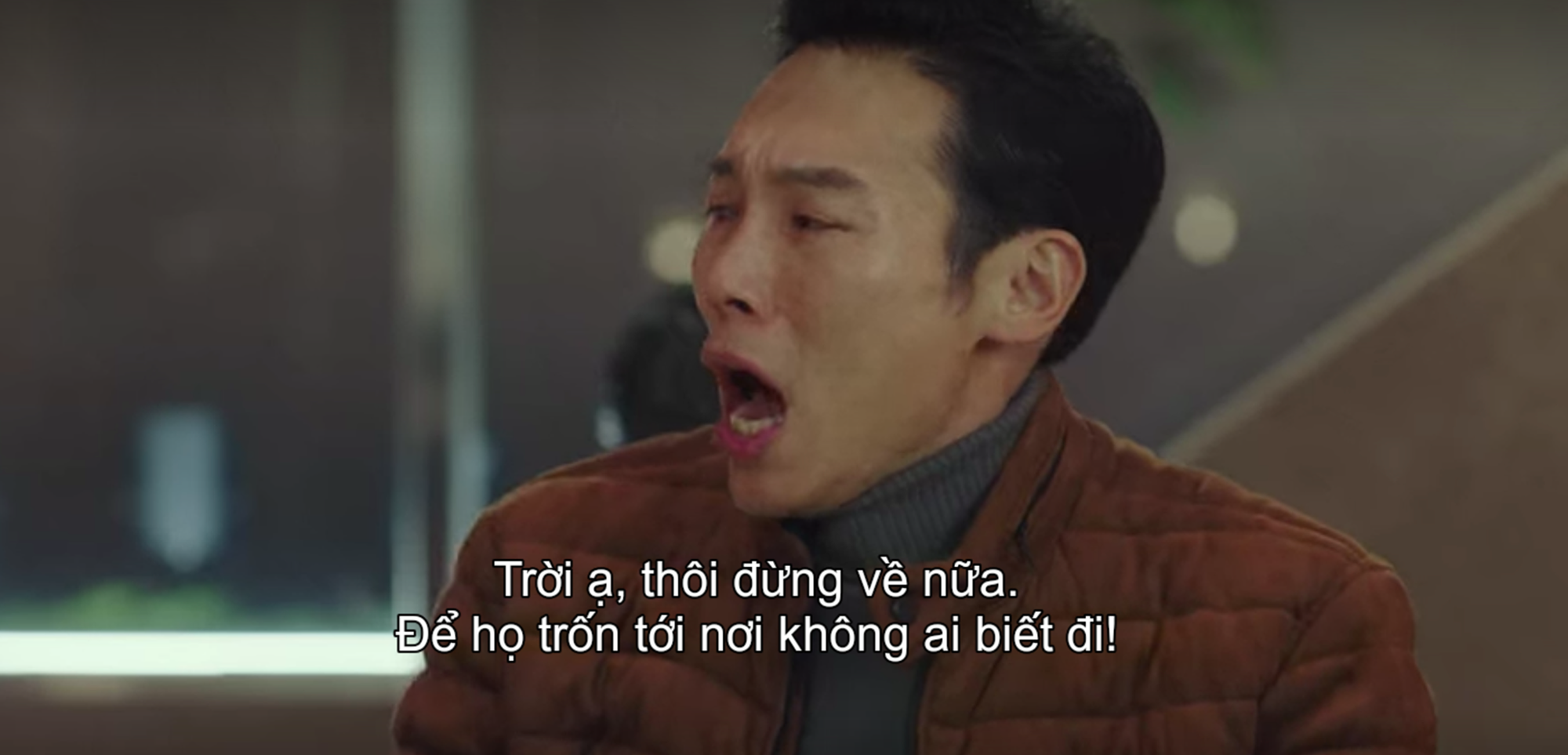 d53038973a3e6d3e419a.png