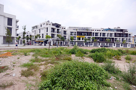 d53aaeef34274c97f9a3.jpg