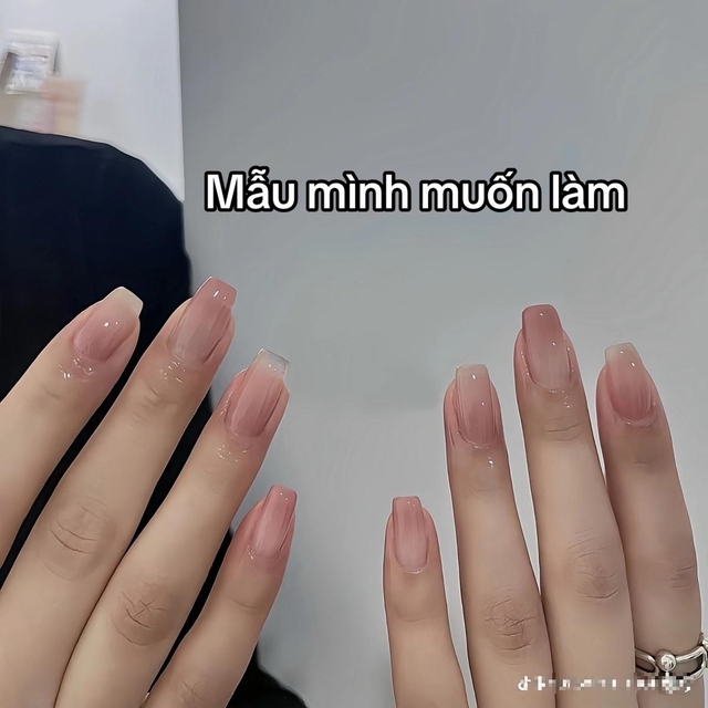 d53f6bad29f392a1f951.jpg