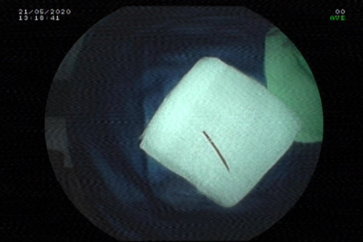 d5408c6921b95d69b6f7.jpg