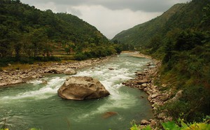 d55019f0a39d76871d0b.jpg
