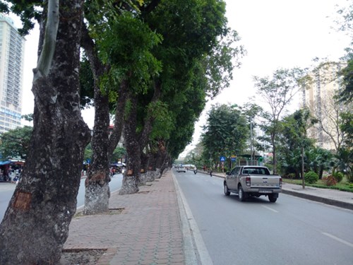 d577357465da91fd126f.jpg