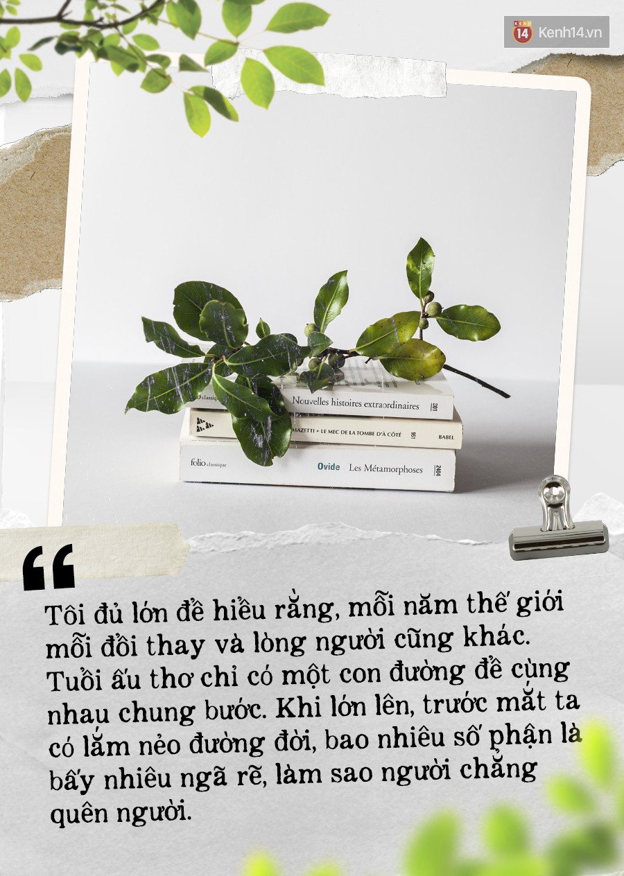 d59c29887b139ce93e8a.jpg