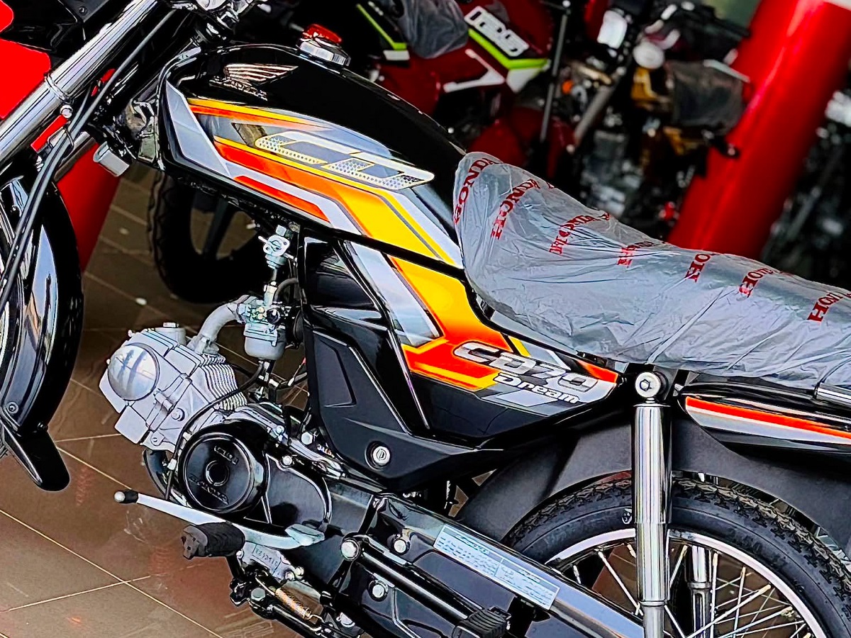 d5a2ae33f43275a52b46.jpg