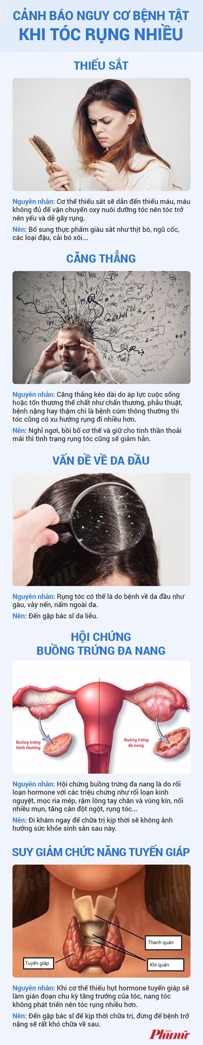 d5ee5b059d780ddc6ba4.jpg