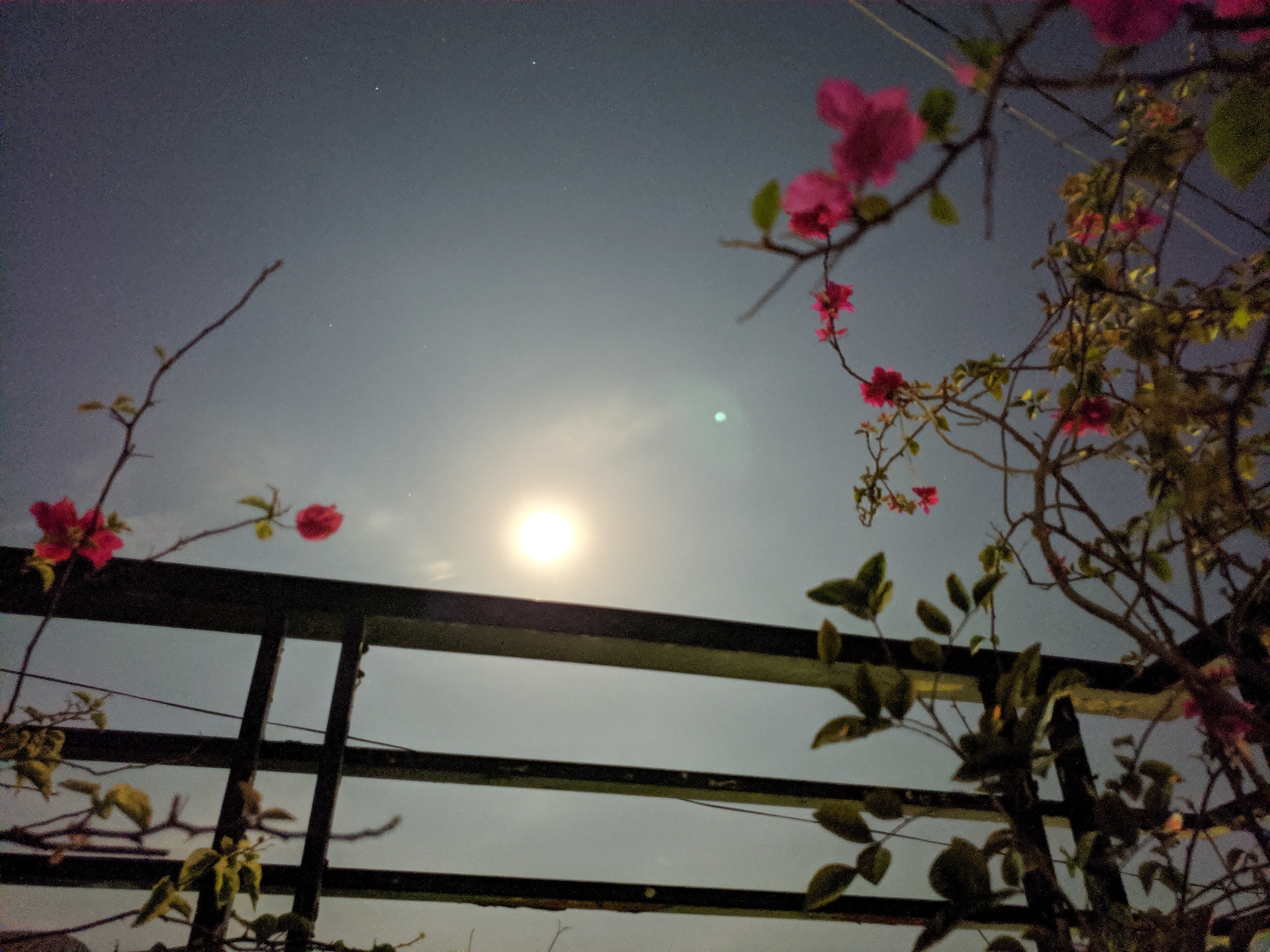 d5ef2a36f56375349b15.jpg