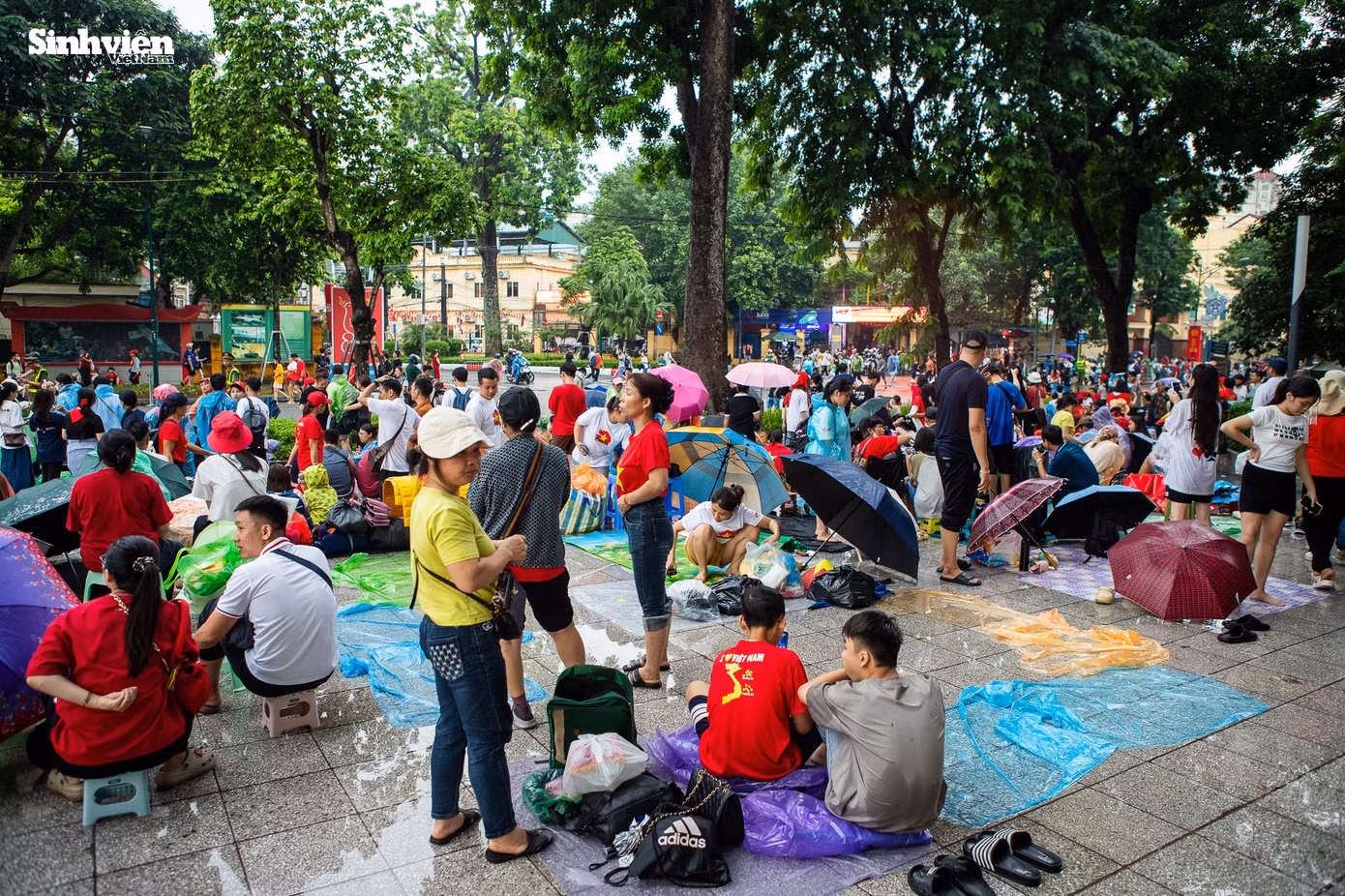 d626b4698c15b6329d25.jpg