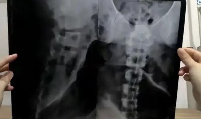 d62ca7b6e3c00e5590e9.jpg