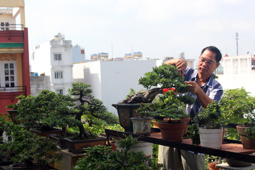 d63e2d2aad97f9afc514.jpg