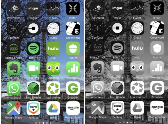 d6452fbcfed5a755c7b1.png