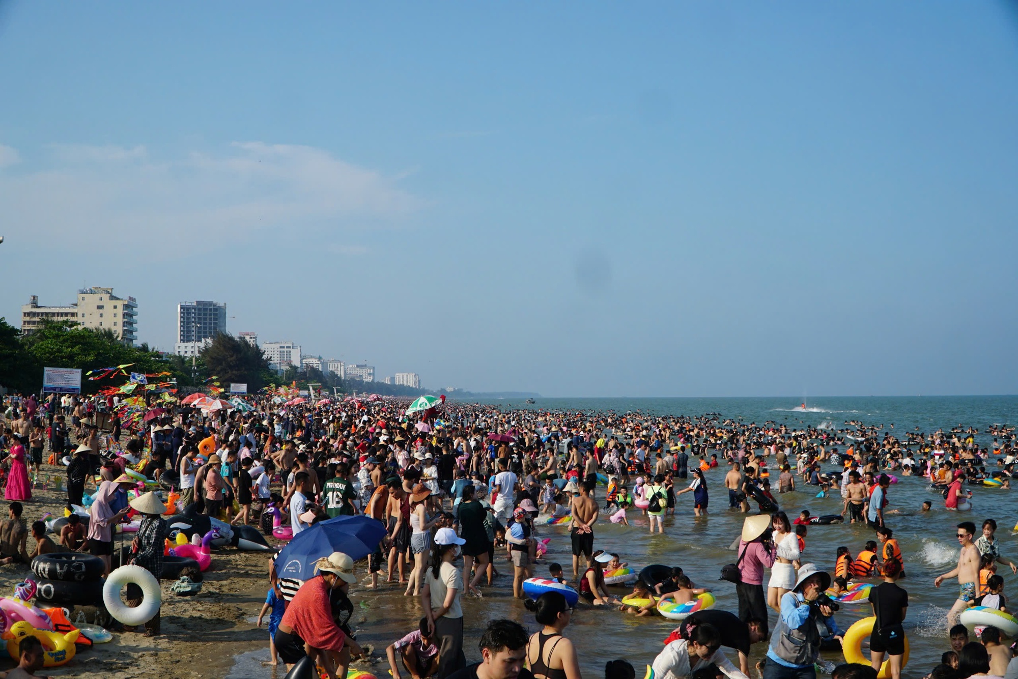 d67fa8510788a686a651.jpg