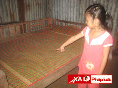 d71409bb7feefaeede21.jpg