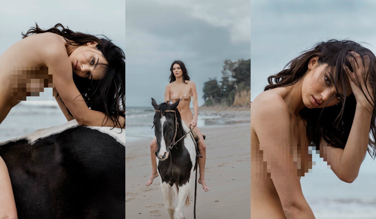d7180b0a9b178f76aab2.jpg