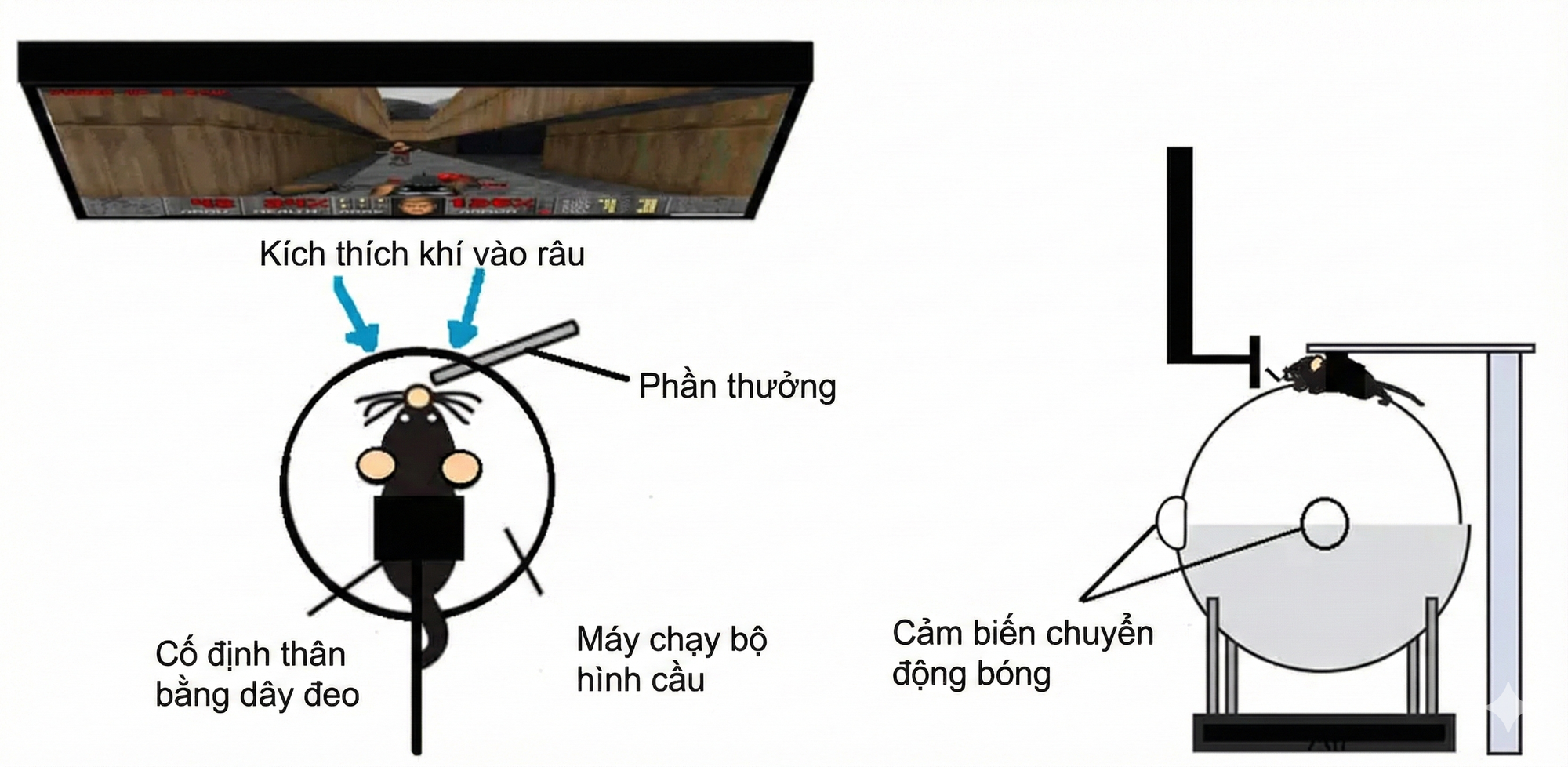 d71c7fe11576bdffb1eb.png
