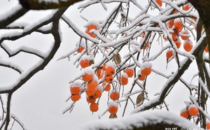 d730b92c9ab0450a5bb8.jpg