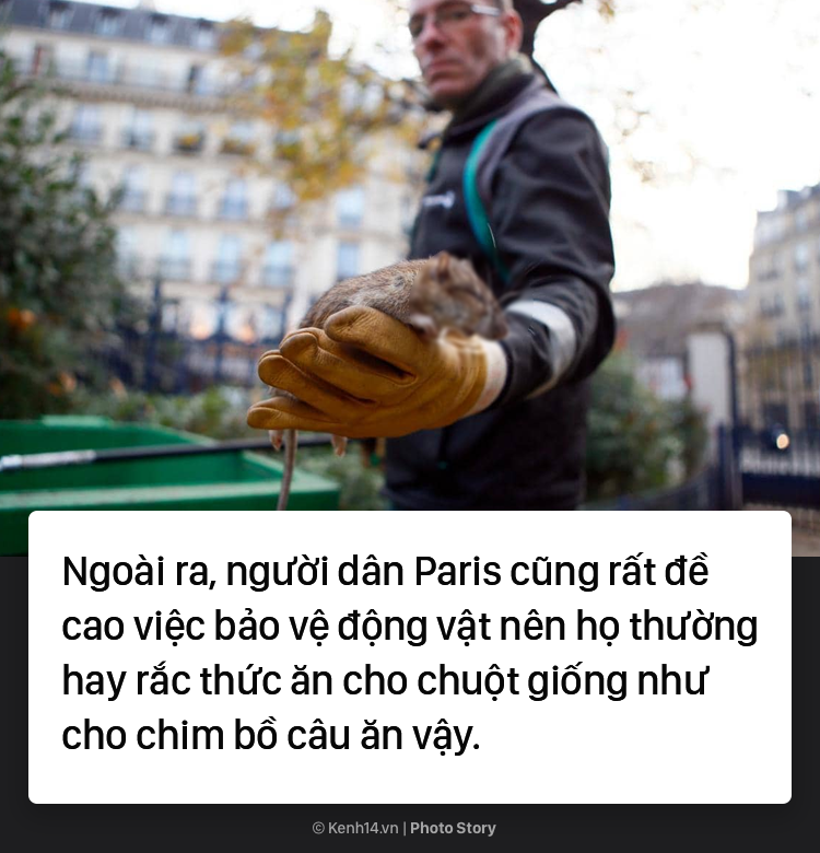 d7457836d15fb1611fa8.png