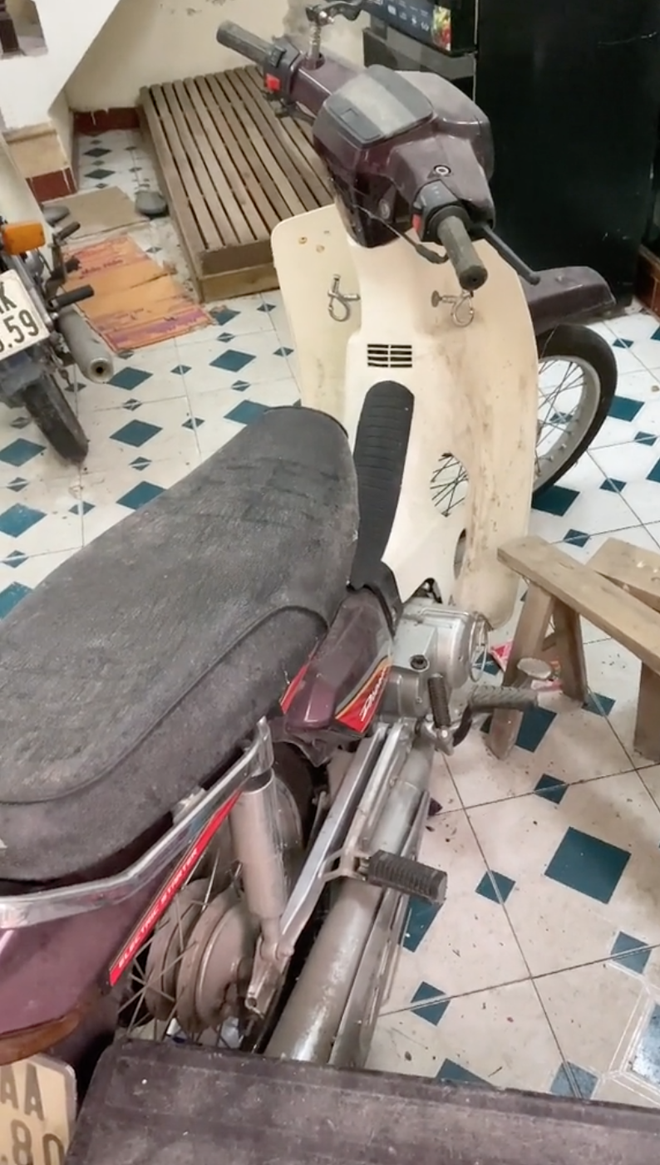 d759cdd4925de6534a0b.png