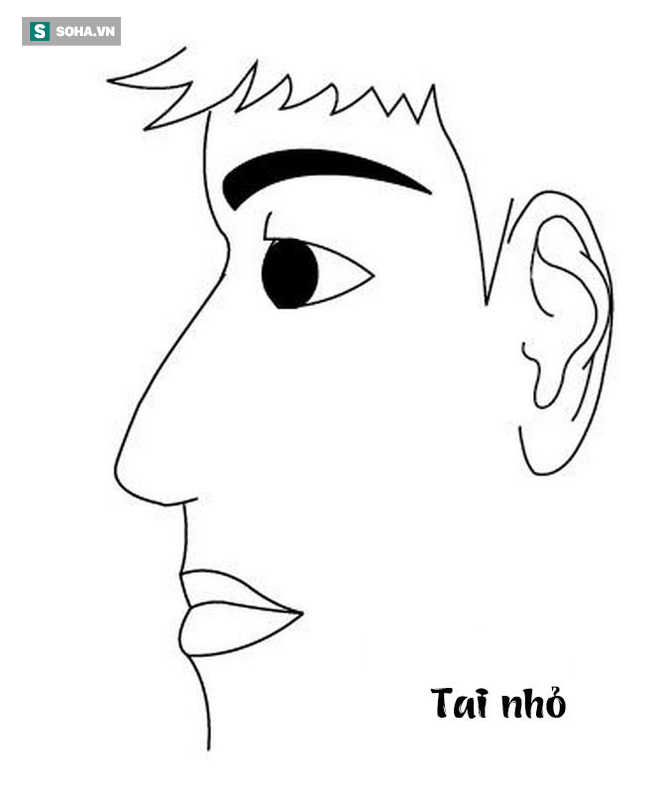 d77998aff2e779466fe3.png