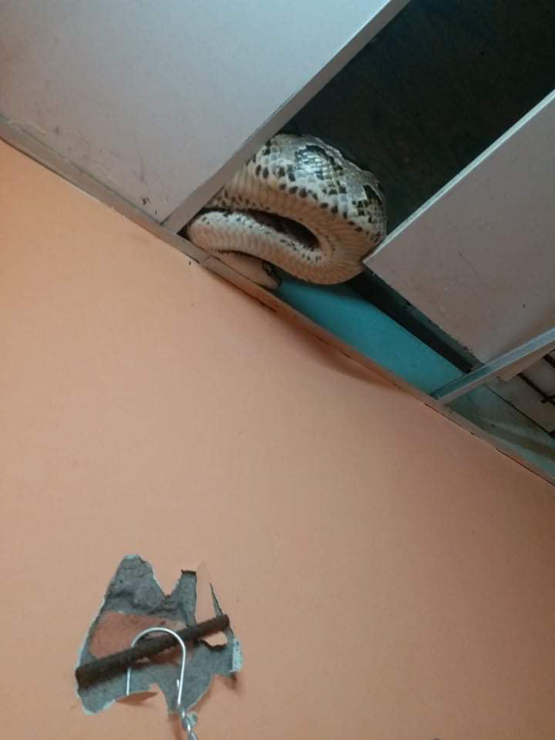 d786aba21e8c3cff5c5c.jpg