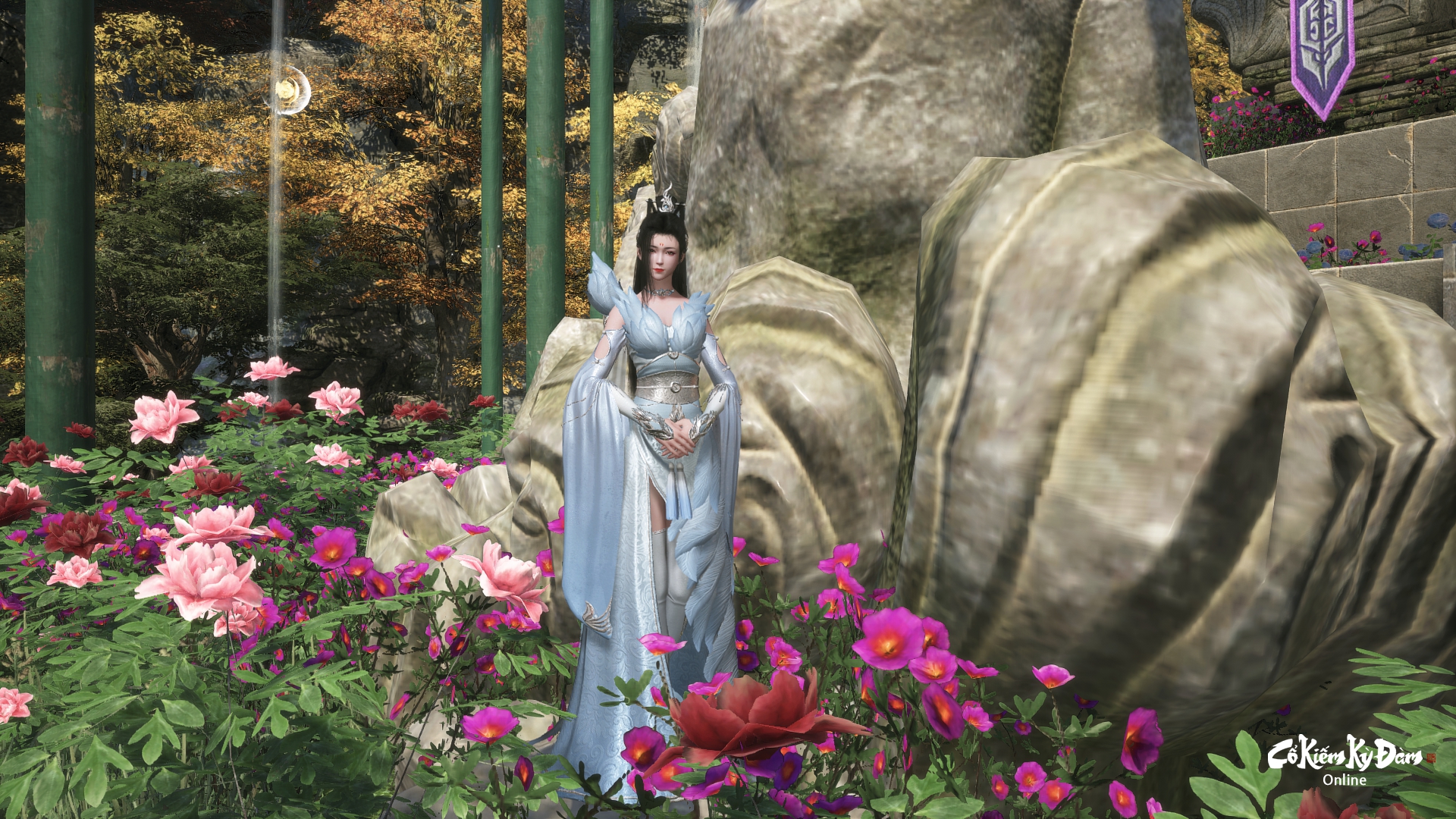 d786d8e0249d461526fe.jpg