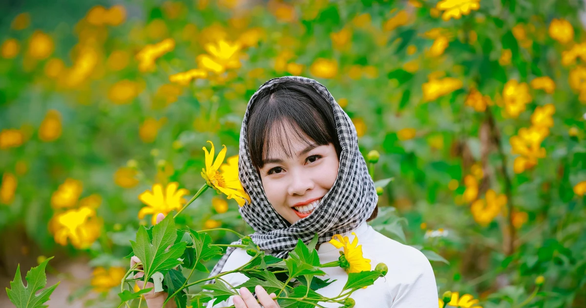 d79b6f202ce57d3d1fcd.webp
