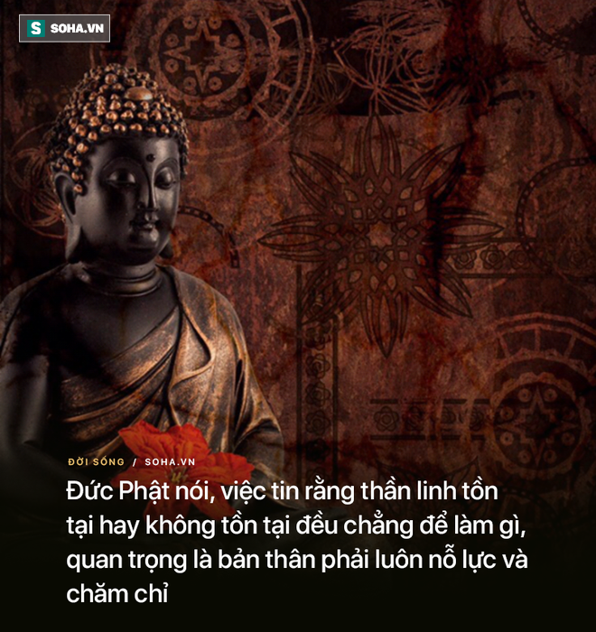 d79d65cccb1a9d642127.png