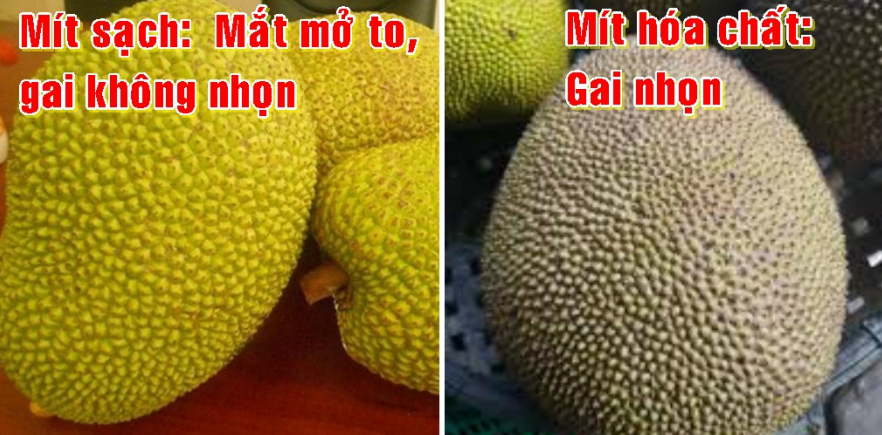 d7a0c0de61f86a06af97.jpg