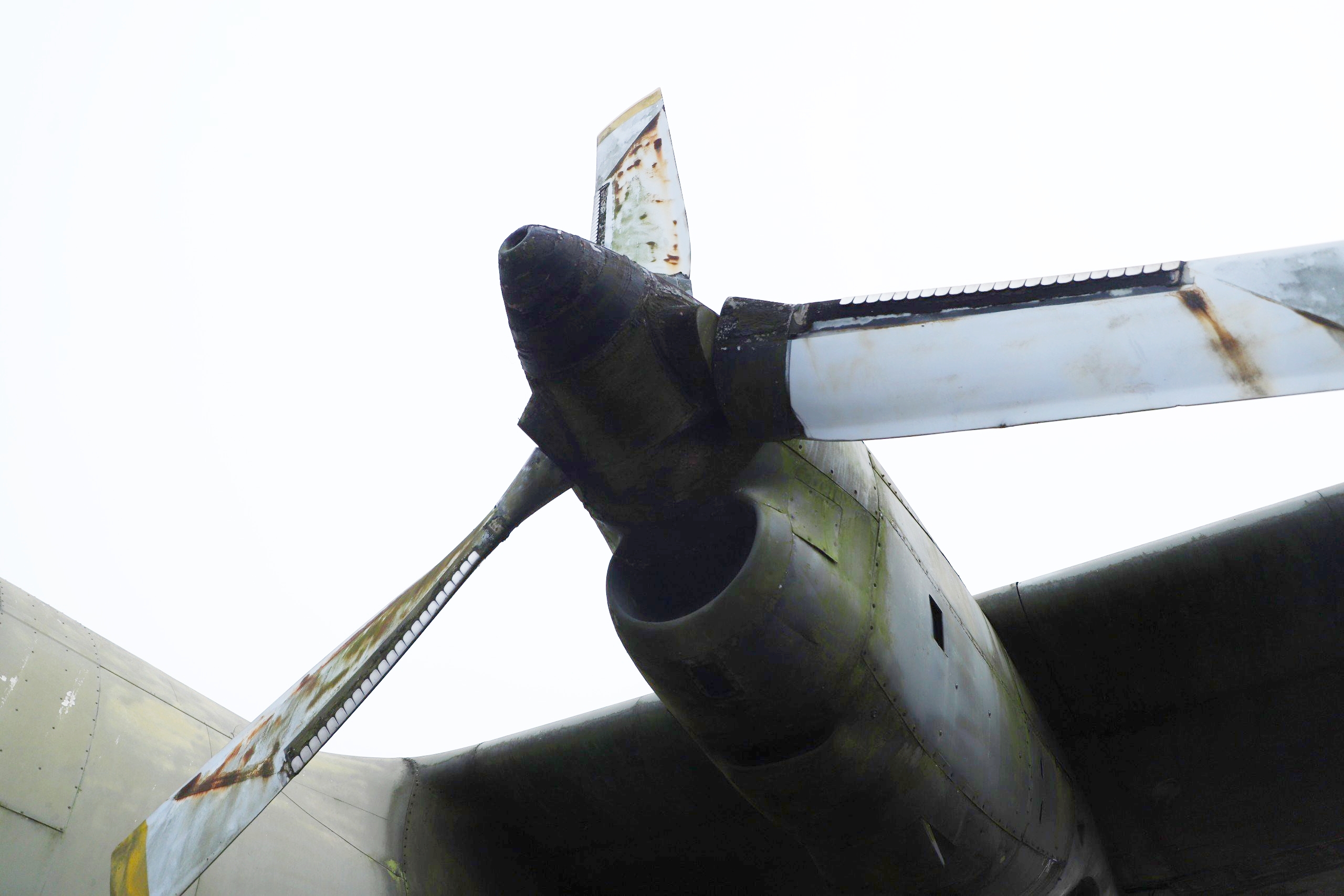 d7aa94c551134387e6d6.jpg