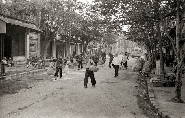 d7aca184565c841549f6.jpg