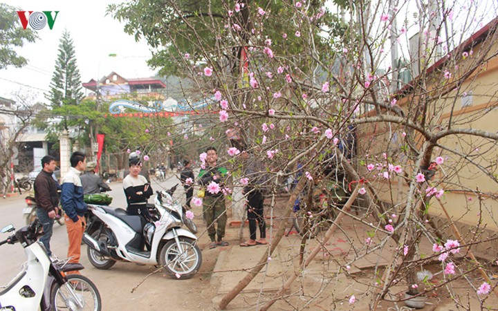 d7b19bb15f0d9954daee.jpg
