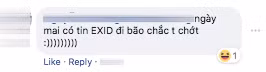 d7d4a259b44cddbac27d.jpg