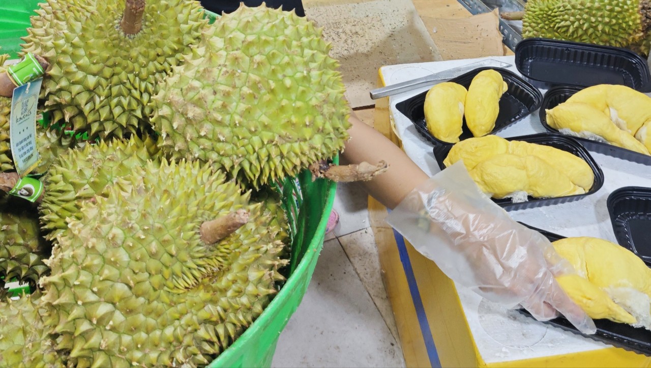 d7db56f6cfa6c5d8e196.jpg