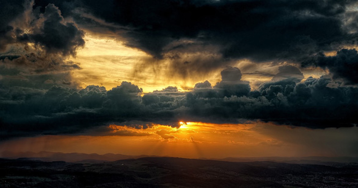 d800b205fe299d0f1d61.jpg