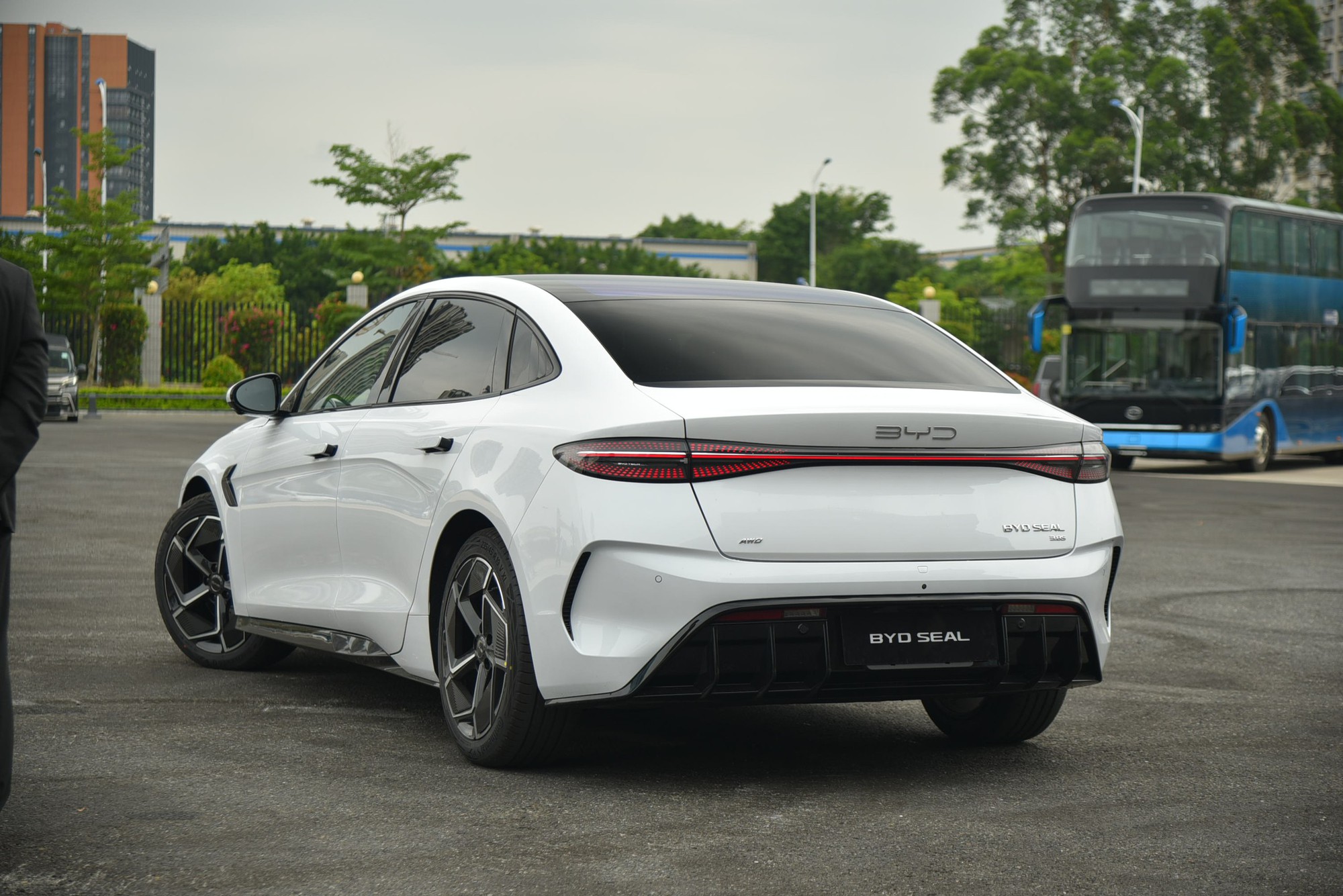 d81ca640c5fec56edf98.jpg