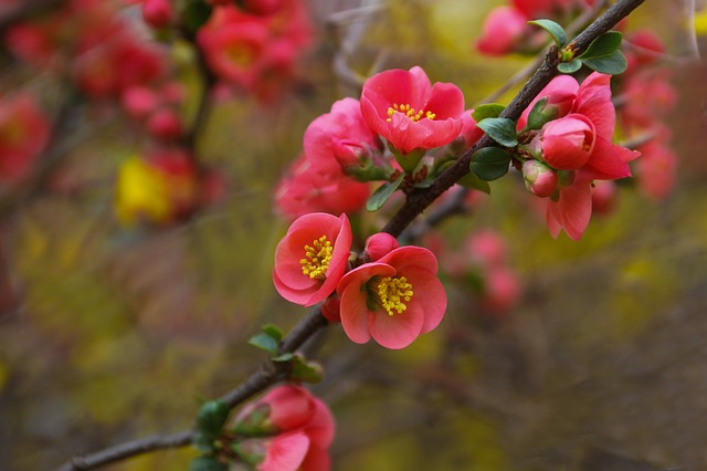 d81f20dd84527c2378a8.jpg