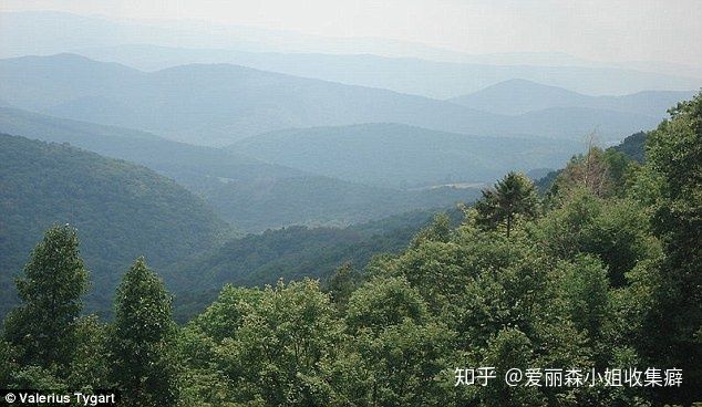 d827460f307ada0722d0.jpg