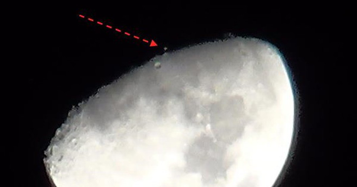 d8462042e43144788d12.jpg