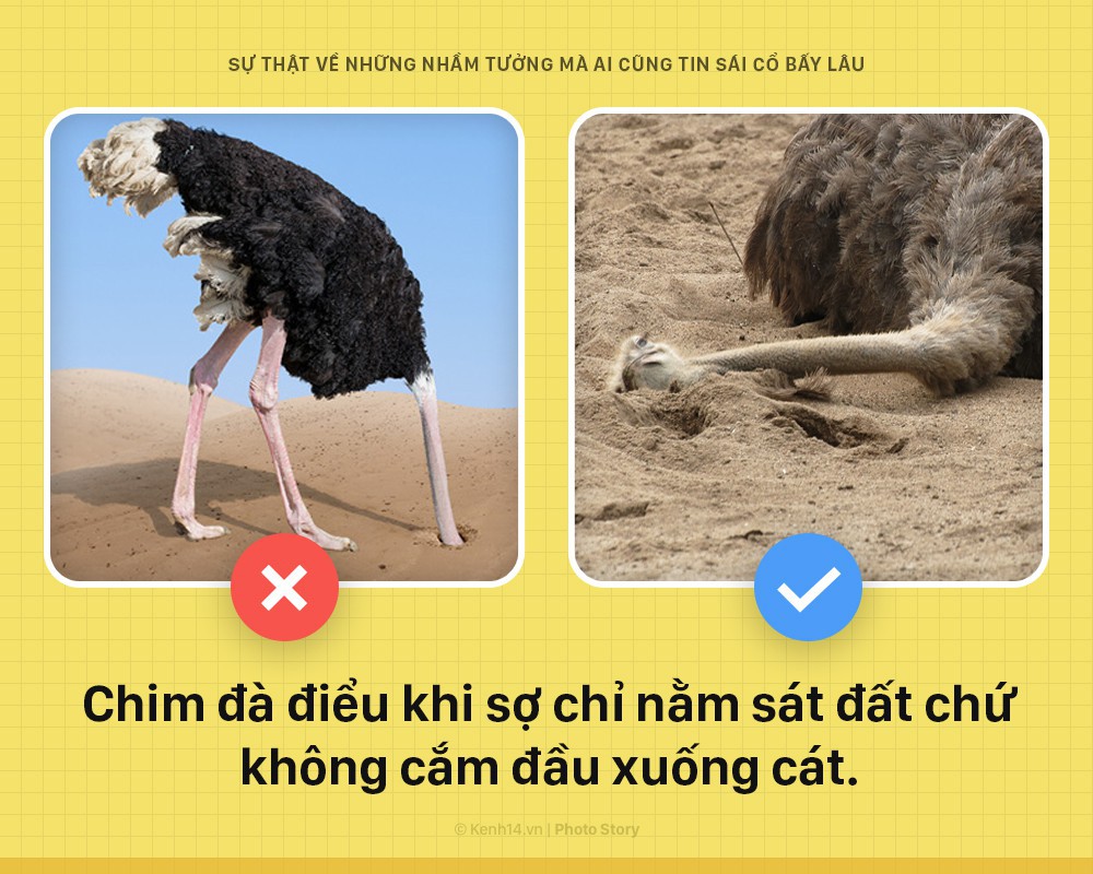 d8696b9c387cf1b9b131.jpg