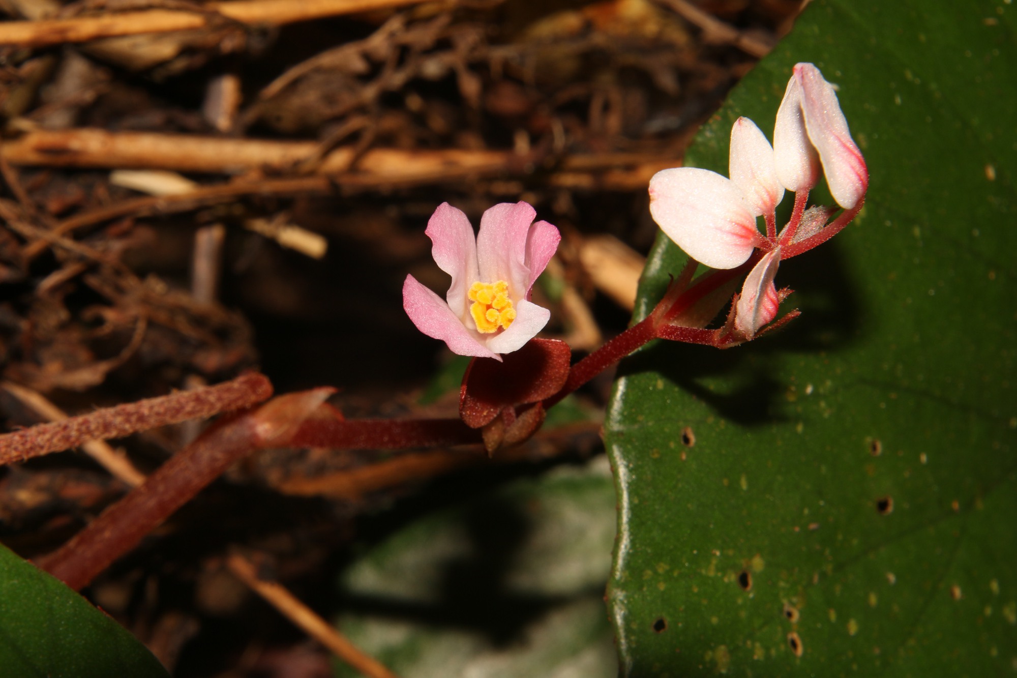 d8757ed29621d7bf58a4.jpg