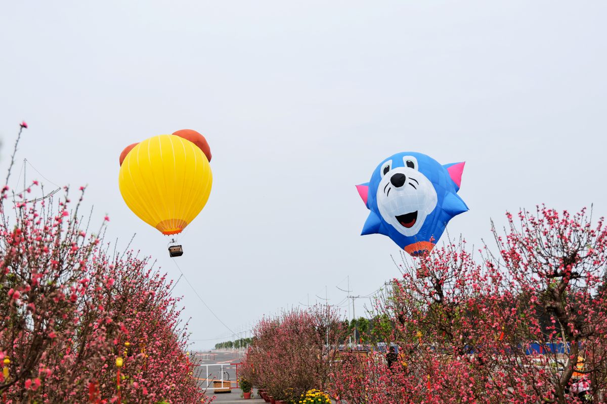 d88193835d3f024be3b4.jpg