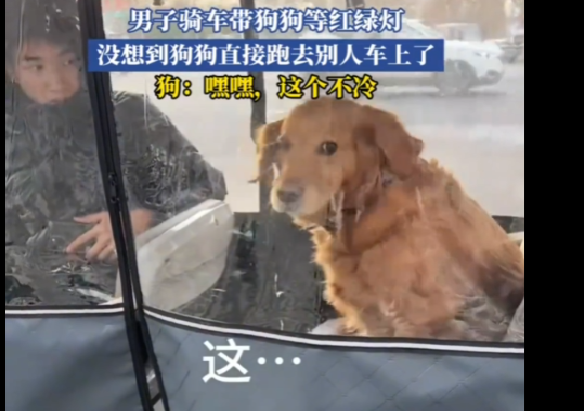 d8b5b5651ed237401e9f.png
