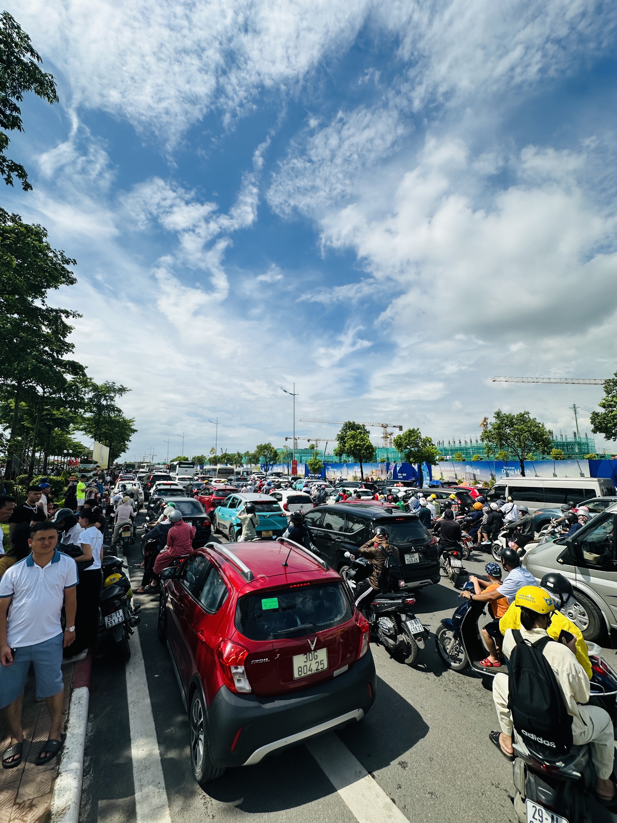 d8b9d43643f66cb73791.jpg
